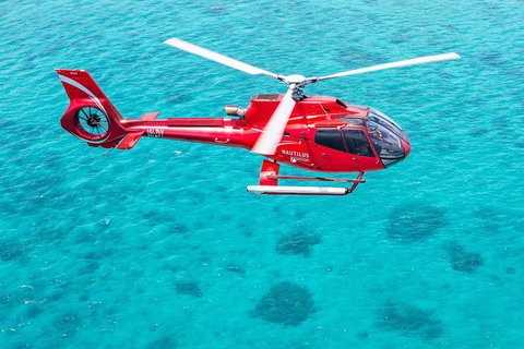 Port Douglas Scenic Flights - Accommodation Cairns 2
