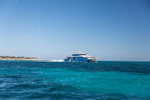 Fremantle To Rottnest Island Roundtrip Ferry Ticket - Accommodation Cairns 5