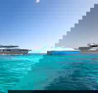 Rottnest Island All-Inclusive Grand Island Tour from Fremantle - Accommodation Cairns