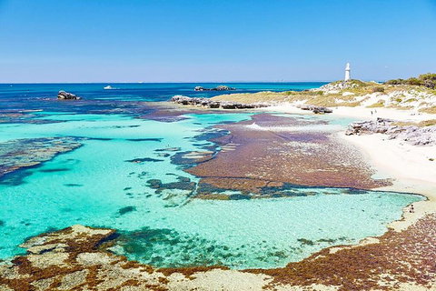 Perth To Rottnest Island Roundtrip Ferry Ticket - Accommodation Cairns 2