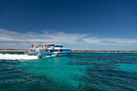 Perth To Rottnest Island Roundtrip Ferry Ticket - Accommodation Cairns 4