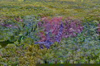 Litchfield Park  Daly River - Scenic Flight From Darwin