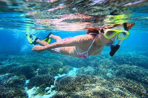 Abrolhos Islands Scenic Flight & Snorkel Adventure From Perth - Accommodation Cairns 1