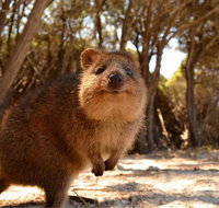 Wave Rock  Rottnest Island - Air  Ground Tour - Accommodation Cairns