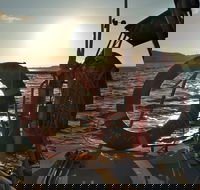 Townsville Small Group Early Morning Sailing Cruise Boat Tour Charter Hire - Accommodation Cairns