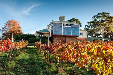 Adelaide Hills Food, Wine, Cheese, & Chocolate - Private Day Tour - Accommodation Cairns 3
