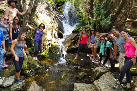 7-Day Super Value Tour Of Tasmania: Explore Tasmania's West And East Coasts - Accommodation Cairns 2