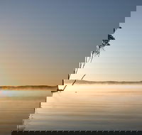 Serenity Cruise to Australia's Everglades - Accommodation Cairns