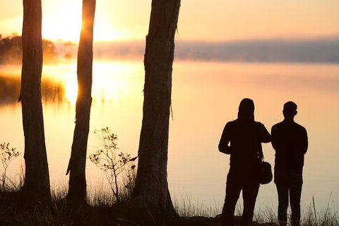 Serenity Cruise To Australia's Everglades - Accommodation Cairns 5