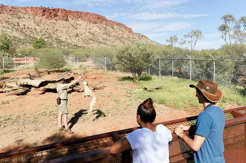 Alice Springs Desert Park General Entry Ticket - Accommodation Cairns 4