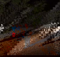 Alice Springs Desert Park Nocturnal Tour - Accommodation Cairns