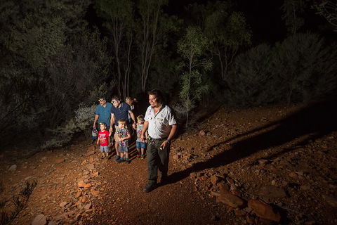 Alice Springs Desert Park Nocturnal Tour - Accommodation Cairns 0