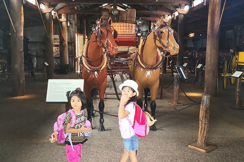 Historic Village Herberton, Kuranda Village And The Skyrail Rainforest Cableway - Accommodation Cairns 2