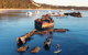 Adventure Moreton Island Wrecks Adventure Package - thumb 0