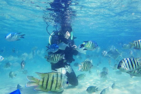 Adventure Moreton Island Scuba Dive Tour - Accommodation Cairns 1