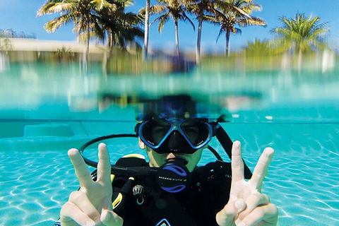 Adventure Moreton Island Scuba Dive Tour - Accommodation Cairns 2