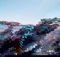 Wave Break Island Scuba Diving on the Gold Coast - Accommodation Cairns