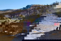 Palm Valley and Hermannsburg 1 Day 4WD Tour, Alice Springs