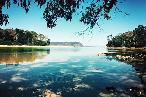 Full-Day Guided Bruny Island Tour From Hobart - Accommodation Cairns 1