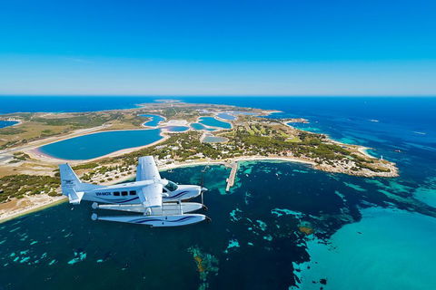 Full Day Tour By Seaplane To Rottnest Island Small Group Trip - Accommodation Cairns 1