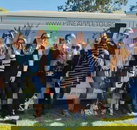 Full Day Mount Tamborine Winery Tour from Gold Coast - Accommodation Cairns