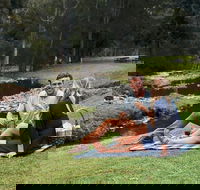 Mt Tamborine - Hinterland Wonders Self Guided - Accommodation Cairns