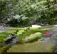 Daintree Dreaming Traditional Aboriginal Fishing from Cairns or Port Douglas - Accommodation Cairns