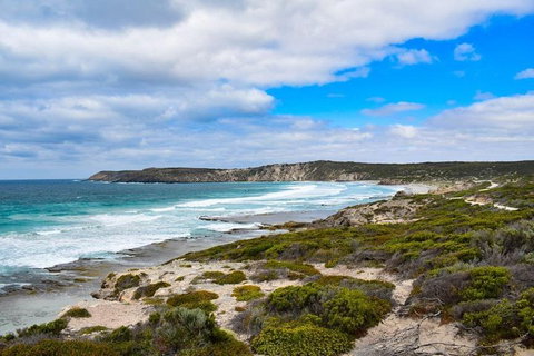 Kangaroo Island Luxury Small Group 'East End Explorer' Full Day Tour - Accommodation Cairns 0