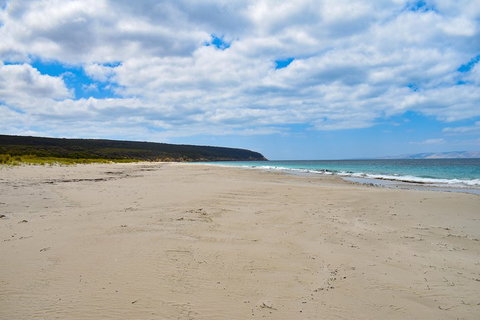 Kangaroo Island Luxury Small Group 'East End Explorer' Full Day Tour - Accommodation Cairns 3