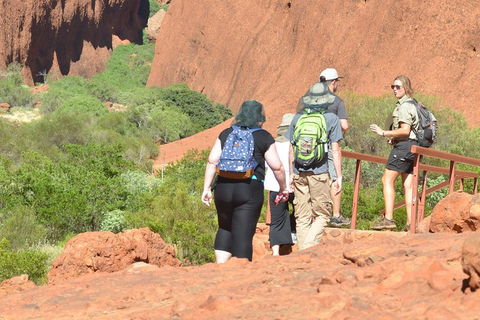 Afternoon Kata Tjuta Small Group Tour - Accommodation Cairns 0