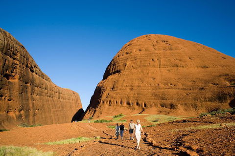 Afternoon Kata Tjuta Small Group Tour - Accommodation Cairns 1