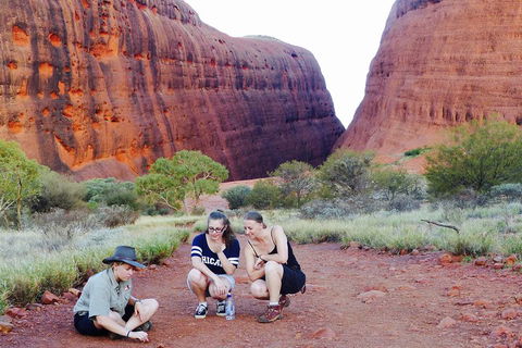 Afternoon Kata Tjuta Small Group Tour - Accommodation Cairns 2