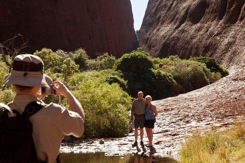 Afternoon Kata Tjuta Small Group Tour - Accommodation Cairns 3