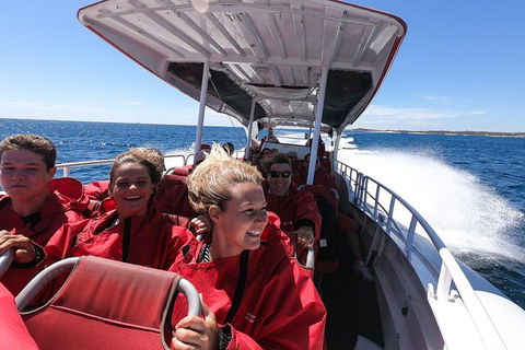 Adventure Rottnest Tour With Ferry & Adventure Cruise From Perth Or Fremantle - Accommodation Cairns 0