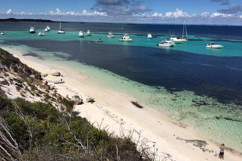Experience Rottnest With Ferry & Bike Hire From Perth Or Fremantle - Accommodation Cairns 0