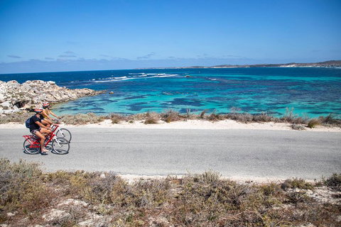 Experience Rottnest With Ferry & Bike Hire From Perth Or Fremantle - Accommodation Cairns 2