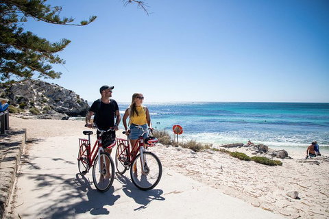 Experience Rottnest With Ferry & Bike Hire From Perth Or Fremantle - Accommodation Cairns 4