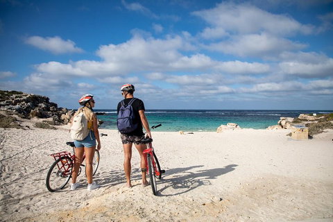 Experience Rottnest With Ferry & Bike Hire From Perth Or Fremantle - Accommodation Cairns 5