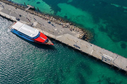Rottnest Island Round-Trip Ferry From Perth Or Fremantle - Accommodation Cairns 1