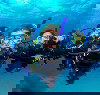 Great Barrier Reef Diving and Snorkeling Cruise from Cairns - Accommodation Cairns
