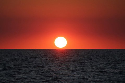 Roebuck Bay Snubfin Dolphin Cruise - Accommodation Cairns 3