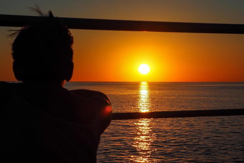 Roebuck Bay Snubfin Dolphin Cruise - Accommodation Cairns 4