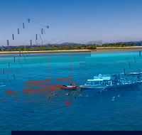 Ocean Free Green Island  Great Barrier Reef Snorkel Cruise Cairns 25 guests - Accommodation Cairns