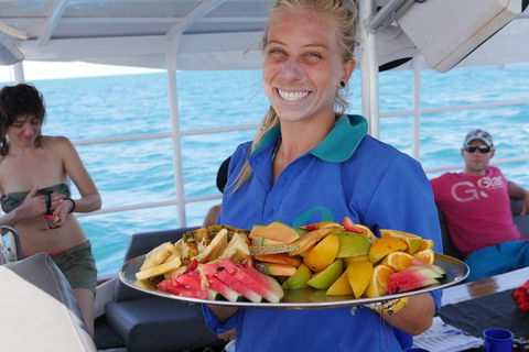 Ocean Free Green Island & Great Barrier Reef Snorkel Cruise, Cairns 25 Guests - Accommodation Cairns 1
