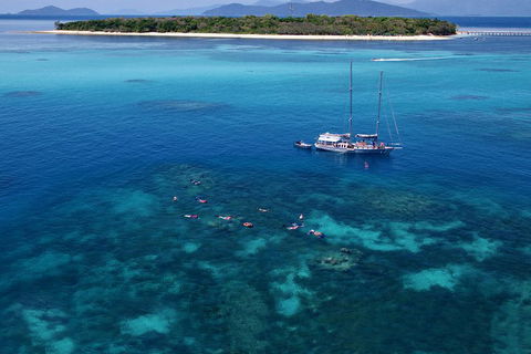 Ocean Free Green Island & Great Barrier Reef Snorkel Cruise, Cairns 25 Guests - Accommodation Cairns 2