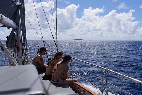 Ocean Free Green Island & Great Barrier Reef Snorkel Cruise, Cairns 25 Guests - Accommodation Cairns 4