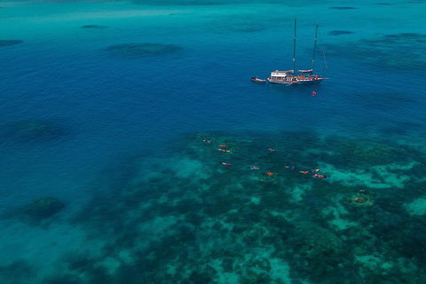 Ocean Free Green Island & Great Barrier Reef Snorkel Cruise, Cairns 25 Guests - Accommodation Cairns 5
