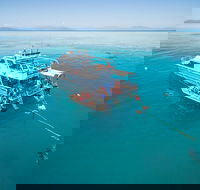 Ocean Freedom Great Barrier Reef Personal Luxury Snorkel  Dive Cruise Cairns - Accommodation Cairns