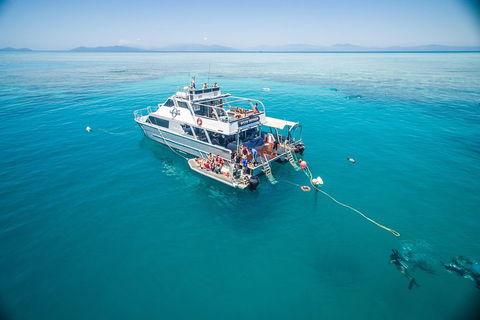 Ocean Freedom Great Barrier Reef Personal Luxury Snorkel & Dive Cruise, Cairns - Accommodation Cairns 0