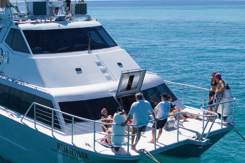 Ocean Freedom Great Barrier Reef Personal Luxury Snorkel & Dive Cruise, Cairns - Accommodation Cairns 1